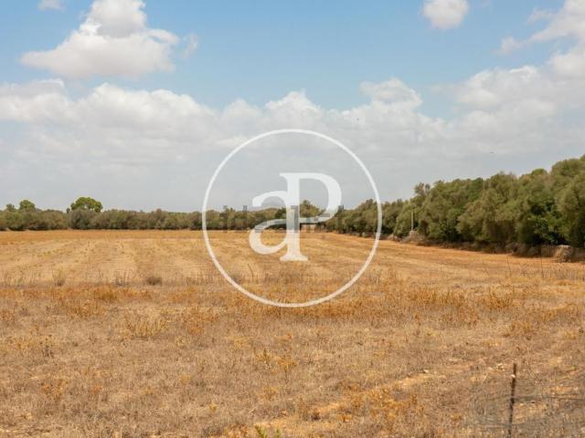 Terreno, Campos