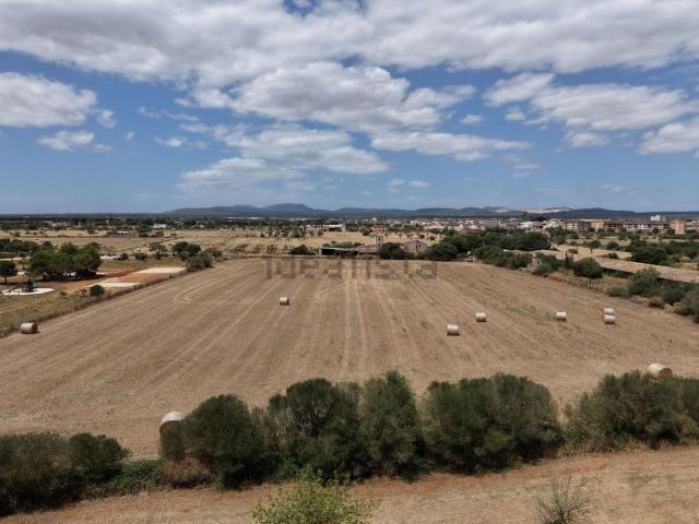 Terreno, Campos