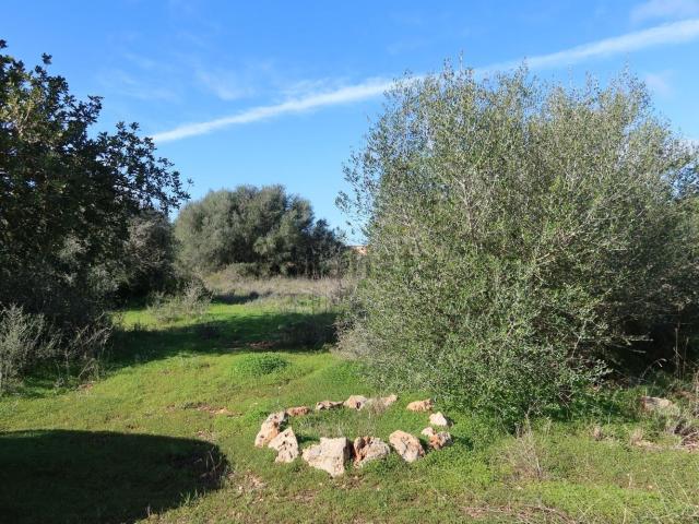 Terreno, Campos