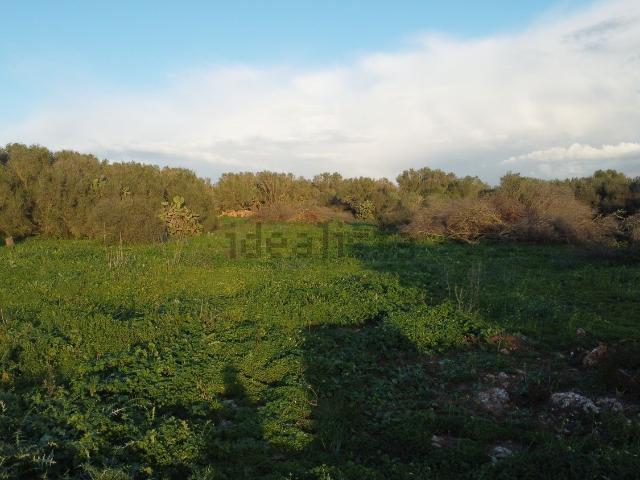 Terreno, Campos