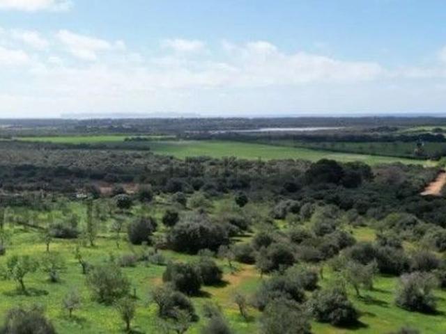 Terreno, Campos