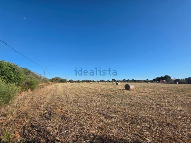 Terreno, Campos