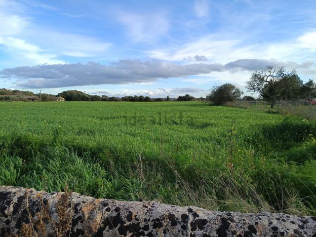 Terreno, Campos