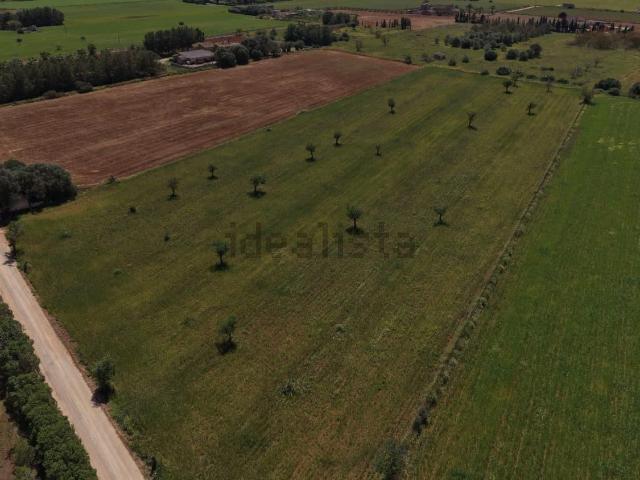 Terreno, Campos