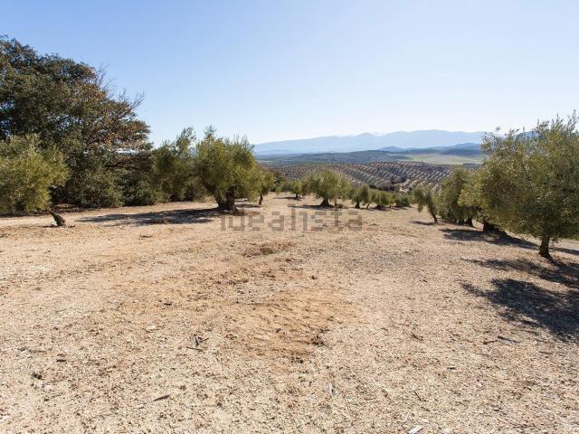 Terreno, Campotéjar