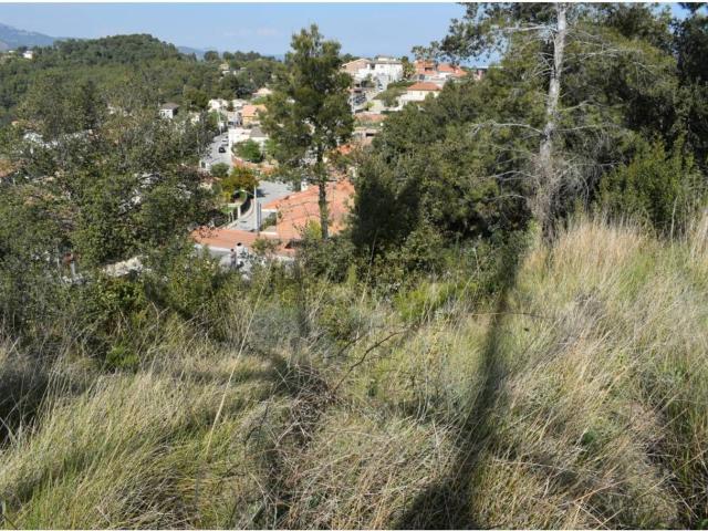 Terreno, Can Palet de Vistalegre, Terrassa