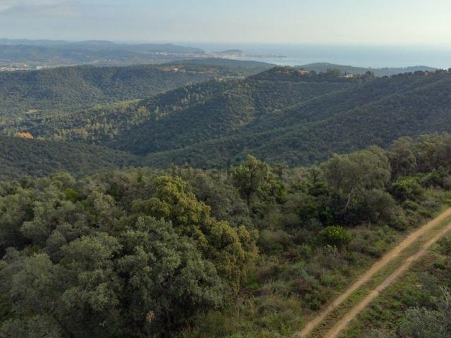 Terreno, Can Semi Mas Nou Mas Ros, Castell Platja d&apos Aro