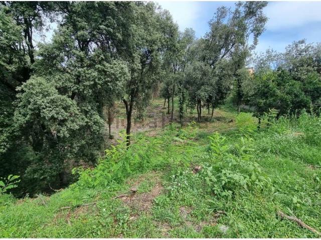 Terreno, Cànoves i Samalús