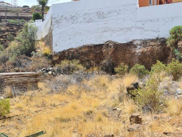 Terreno, Candelaria