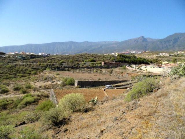 Terreno, Candelaria