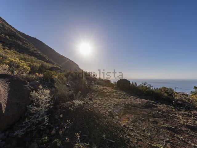 Terreno, Candelaria