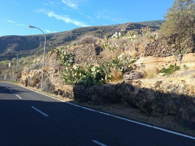 Terreno, Candelaria