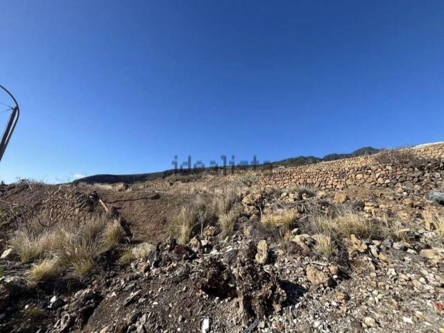 Terreno, Candelaria