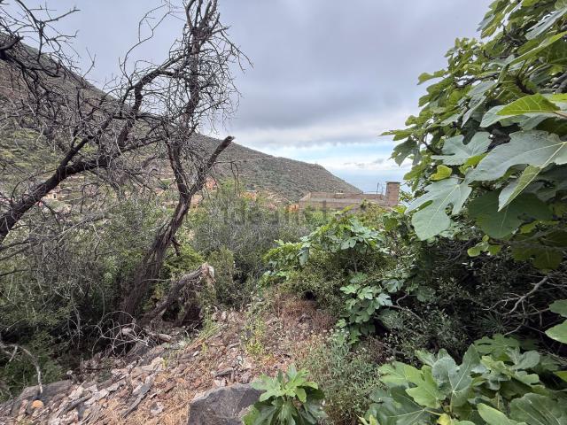 Terreno, Candelaria