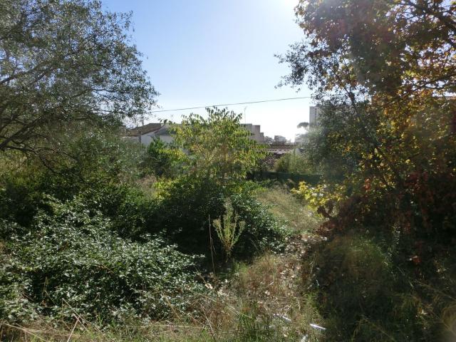 Terreno, Canet de Mar