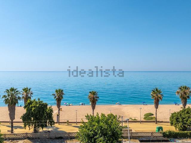 Terreno, Canet de Mar