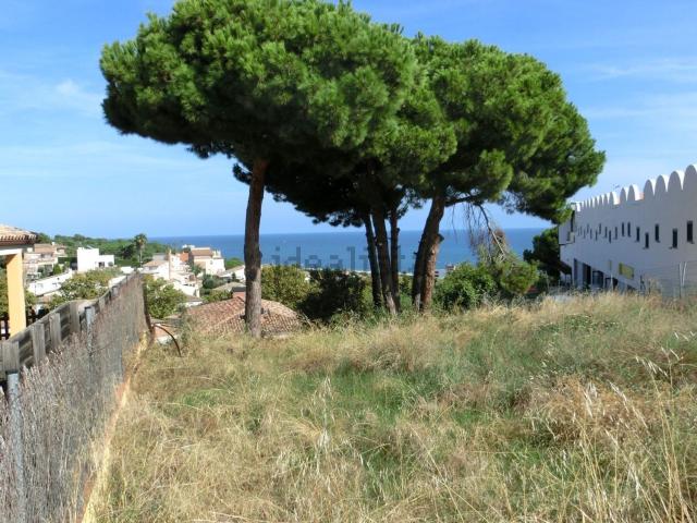 Terreno, Canet de Mar
