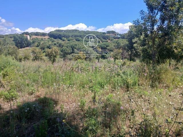 Terreno, Canet de Mar