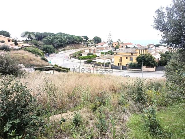 Terreno, Canet de Mar