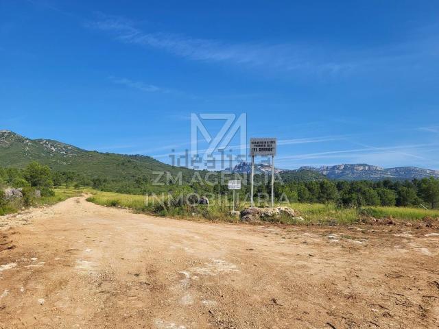 Terreno, Canet lo Roig