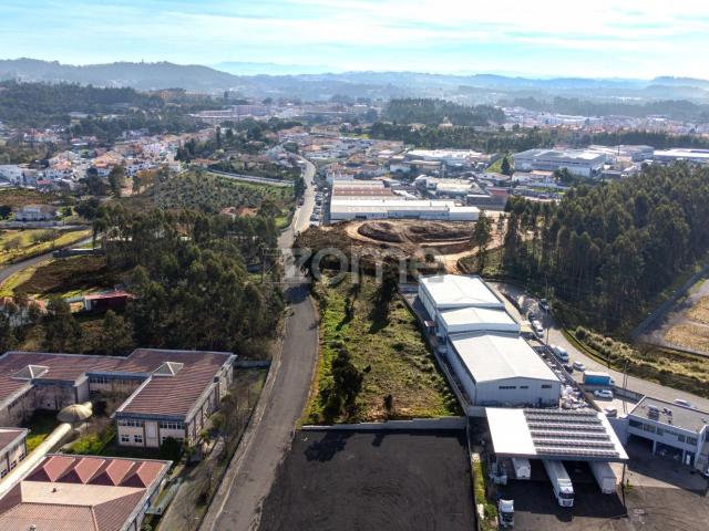 Terreno, Canelas