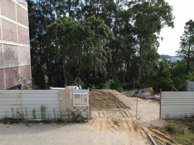 Terreno, Canelas