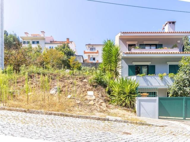 Terreno, Canelas