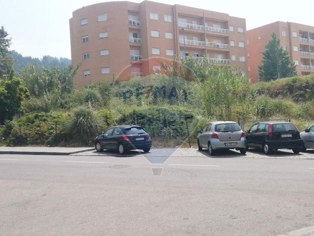Terreno, Canelas