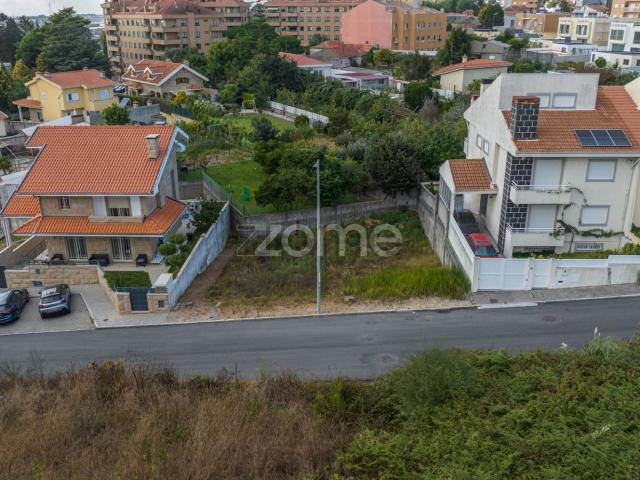 Terreno, Canelas