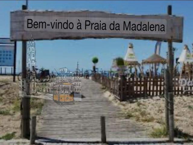 Terreno, Canelas