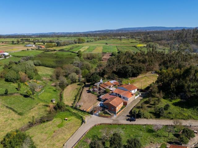 Terreno, Canelas e Fermelã