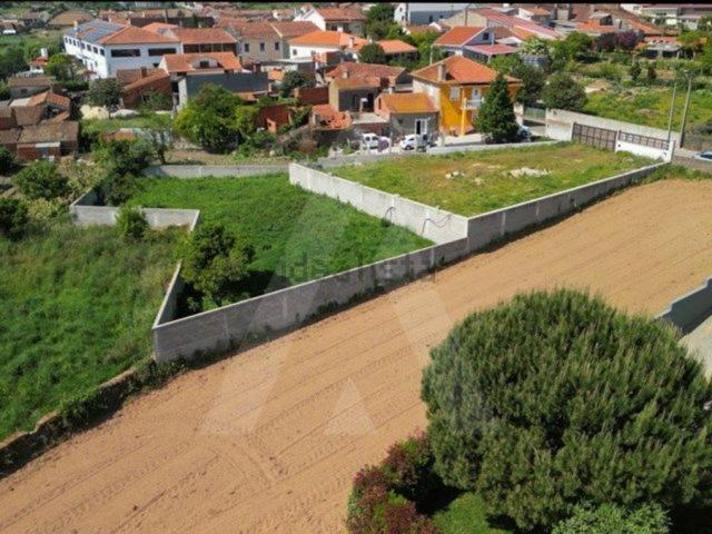 Terreno, Canelas e Fermelã