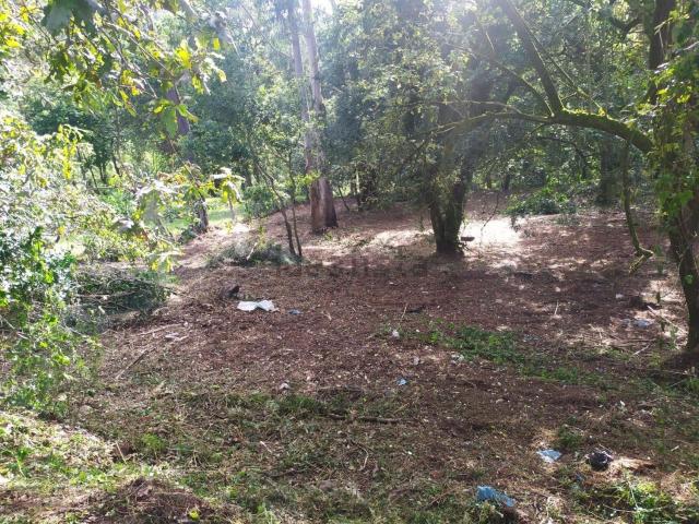 Terreno, Cangas