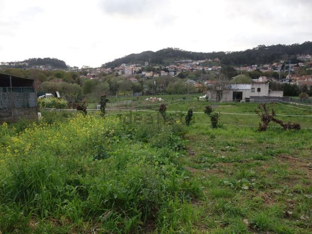 Terreno, Cangas