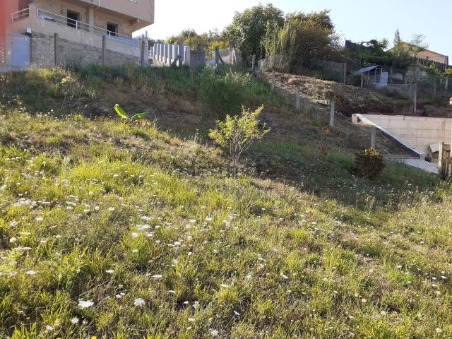 Terreno, Cangas