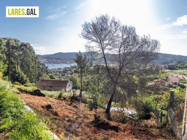 Terreno, Cangas