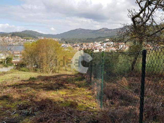 Terreno, Cangas