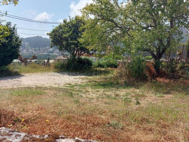 Terreno, Cangas