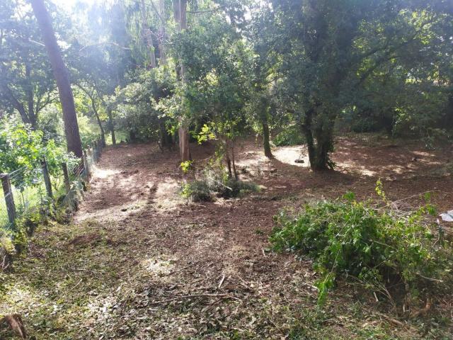 Terreno, Cangas
