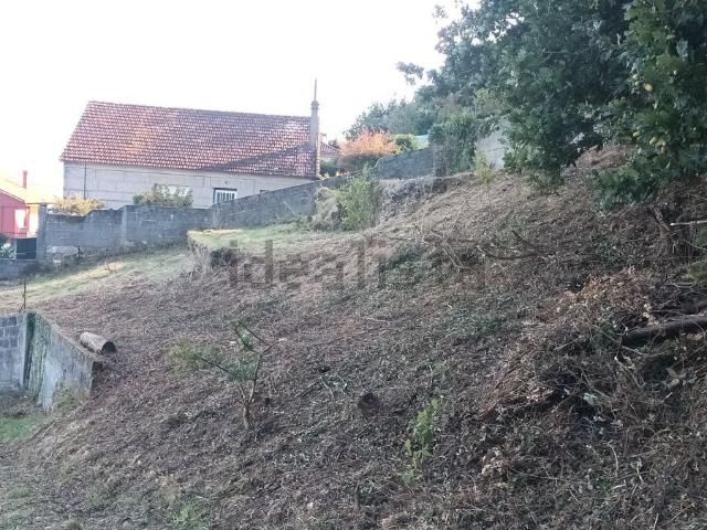 Terreno, Cangas