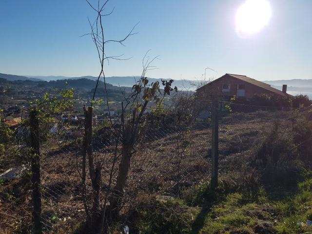 Terreno, Cangas