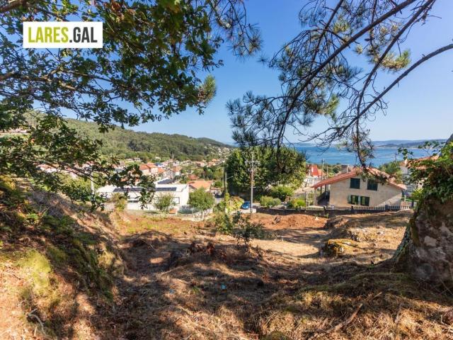 Terreno, Cangas
