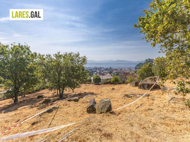 Terreno, Cangas