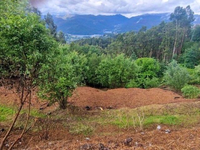 Terreno, Caniçada e Soengas