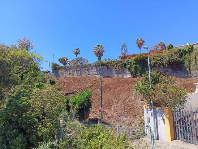 Terreno, Caniço, Santa Cruz | BPI Expresso Imobiliário