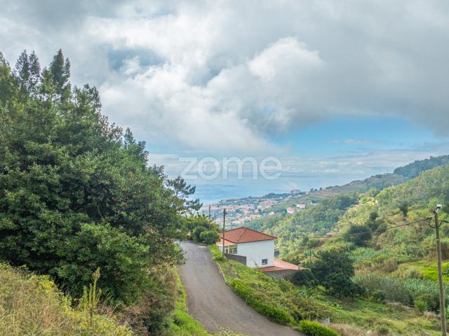 Terreno | Caniço | Sitio do Carvalhal