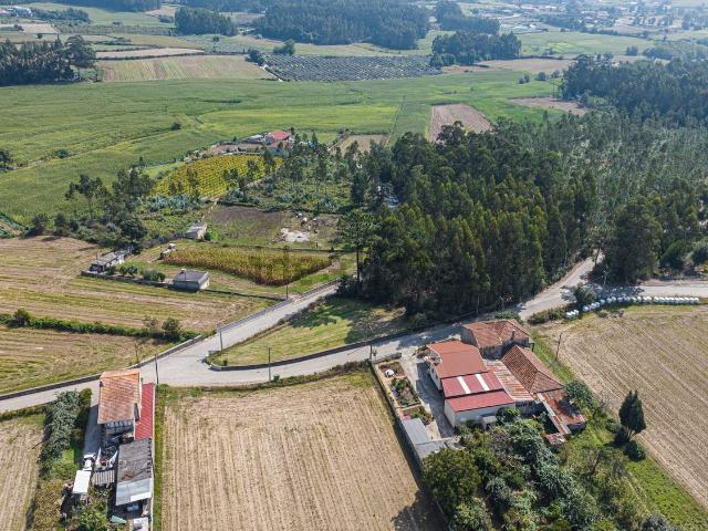 Terreno, Canidelo