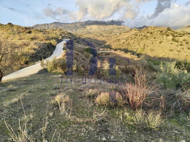 Terreno, Canillas de Aceituno