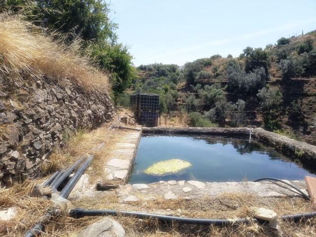 Terreno, Canillas de Aceituno