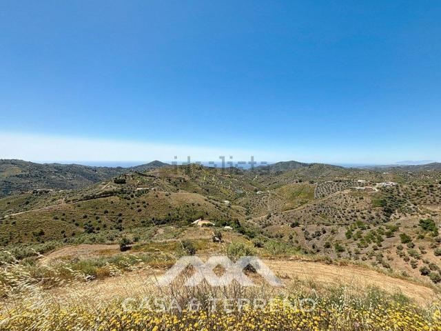 Terreno, Canillas de Albaida